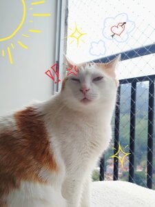 Lexyy_Bluee Public 사진 2