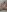 Shelly_hotwife Private Shower pics XXX-Foto 8
