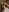 SofiaAdamsTake a shower with me on vacation照片 8