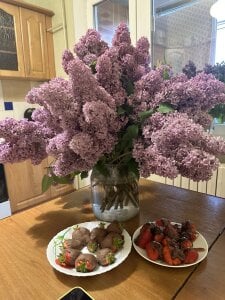 Light_Kira_kiss Public 圖片 3