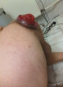 FistHot93 ASS Rose รูป  3