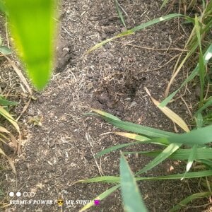 Cute_Boy_4 Public Immagine  2