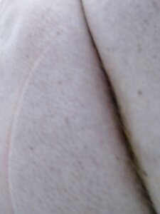 Fattymaxalwayshorny Public 사진 3