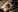 Roxy_____ BDSM girl Pic 5