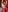 PedroMancini Valentines RED Big Bulge - pantyhose Pic 5