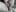 n3igmy hot pics !照片 5