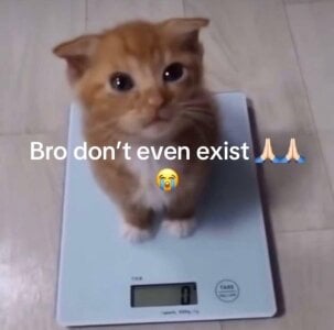 MaddisonHaas memes🤭 Photo 6