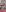 Nicolleurgrl Color Come Back Pic 3