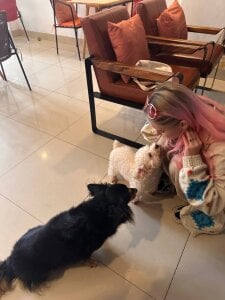 ChanteNovack Public Pic