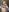 WakeAndBlaze Naughty Blaze Sept- December 2024 Pic