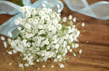 MARIA_oO ♡ Billede 5