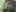 raingurlboobs照片 6