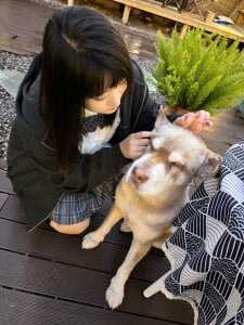 sallybing daily2 Foto