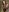 Kismet_Nyx something new Pic 5