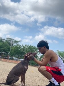 Lord_LuciferHotDirty777 Like 🫶🏽 my dog ❤️ Immagine  2