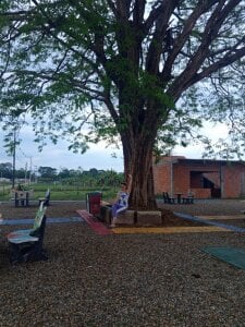 connecting with nature de Chanelll_Taylorr_ Foto 5