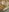 867_haruna ラーメンログ🍜 Pic 5