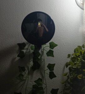 😛 de Genesis_ask  5 Imagens