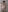 bluelunaray Hot photos for the most elected Pic 9