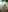 missaniのI'll wait for you in my living roomの 3枚の写真