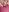 LaRosaDelDeserto Pussy 사진 7
