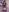 Samanta_roberts1 My birthday Pic 8