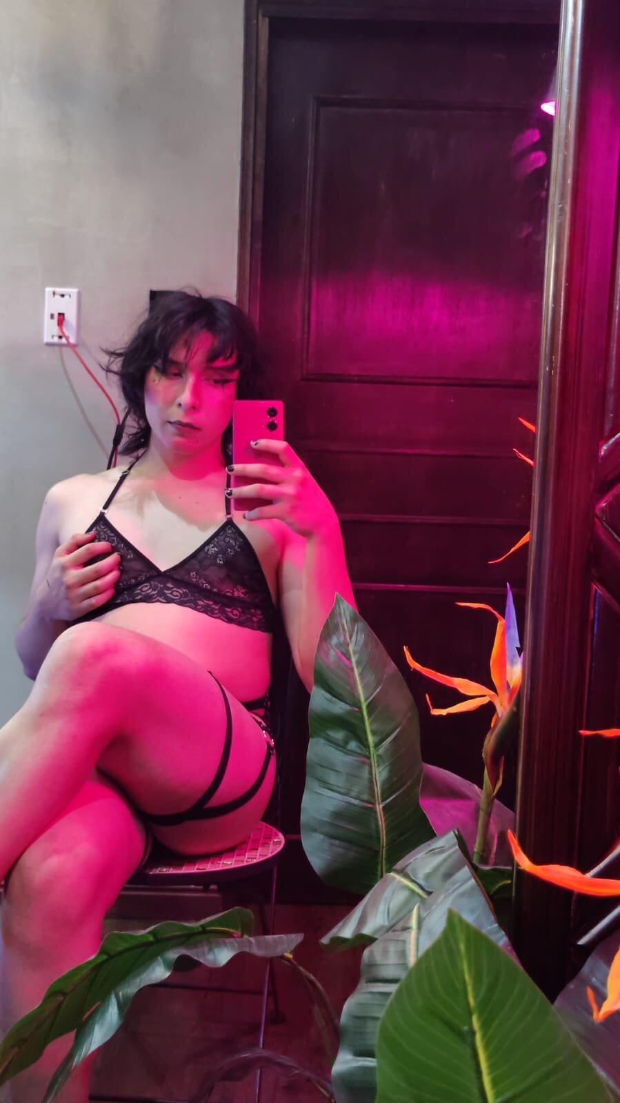 Shelly_bat Popularna fotka 4987