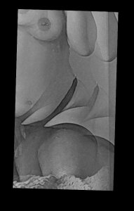 Zoe_vyxen Public Pic 2