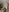 DollyPixel Meow^^ Pic 6