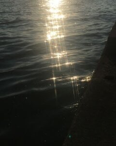 Sayu-channelのPublicの 3枚の写真