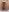 samantasex73 La mia figa Pic