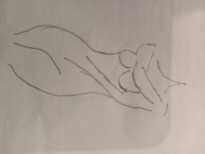 SweettkendyPublic Bild 2