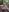 Kinky_WitchMore Woods Fun图片 6