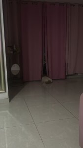 Public de Sara_Garciia  5 Imagens