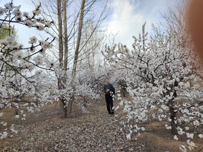 cdr6456 CDR6456  3. fénykép