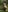 littleinkedblaise666 Naked in nature 🌿 Pic 6
