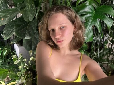 Luminosa: Public ( фото)