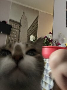 ZayaAlly Public Pic 9