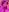 PinkyFairy ૮꒰˶ᵔ ᗜ ᵔ˶꒱ა˖⁺‧₊˚ Pic 6