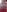 anonymity_awaits@xh Inquiring Minds Pic