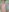 Content Explícito / nude de NinhoMorango  8 fotos