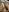 SensualG300 Spicy content Pic 6