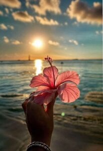 Isabella_Liz_ Public Pic 3