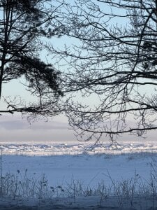 solar_bella Winter days صورة واحدة|solar_bella Winter days صورتان|solar_bella Winter days  5 صور|solar_bella Winter days  5 صورة