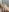 cute_charlotte_ Cock hard and cum Pic 2
