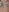 CutieEmy Cumshot Pics Pic 3