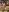 jessymorgan_ I Love Nature 🌤️🍃 Pic 2