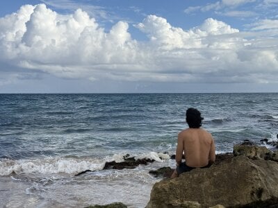 Zdjęcia TaurusCrown Public:  5