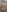 maximo_22_ In the shower Pic