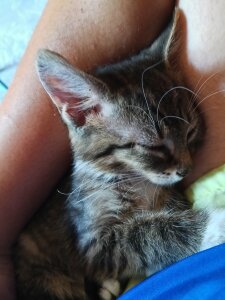 rainbow9028 About me Immagine  7